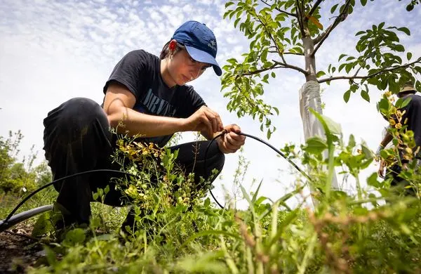 A student doing research in a field